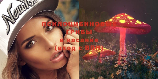 экстази Заводоуковск
