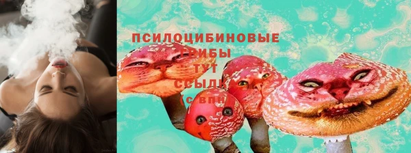 экстази Заводоуковск